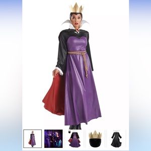 Evil Queen Costume (Adult)